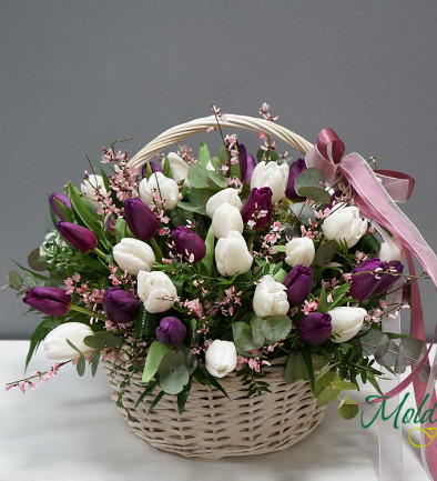 Basket with White and Purple Tulips photo 394x433